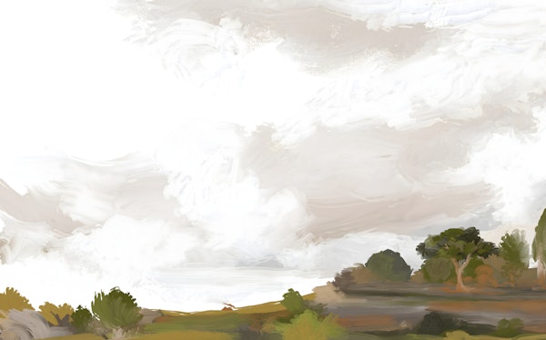 Whispering Sky Meadow