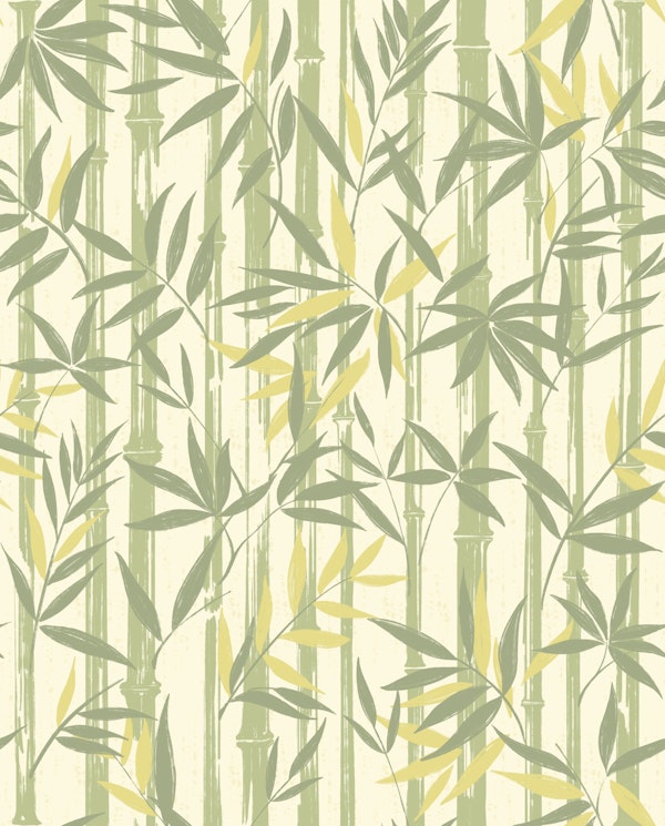 Striped Bamboo