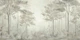 Scandinavian forest – Dusty Green