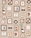 Cute Animal Frames