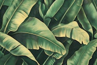 Banana Leaves Oasis wallpaper