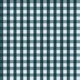 Glacier Blue and Deep Teal Gingham
