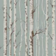 Whispering Birch Woods