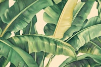 Tropical Leaf Dream - Banana Leaves wallpaper