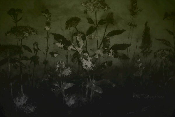 Antique Meadow Flowers