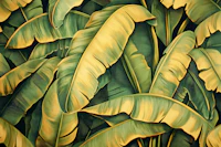 Golden Banana Leaf Jungle wallpaper