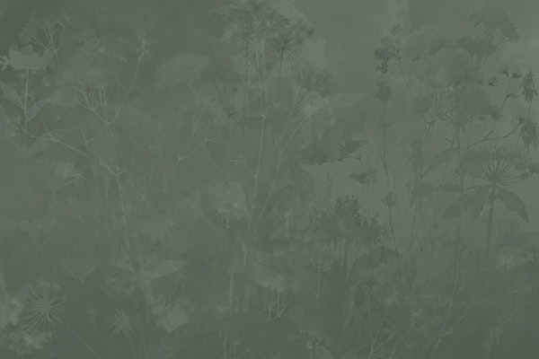 Misty Wildflower Meadow