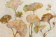 Muted Garden Blooms Textured