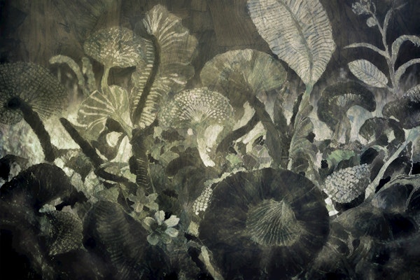 Moody Forest Botanicals