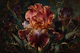 Midnight Iris Garden