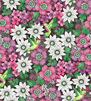 Happy Hummingbird Habitat wallpaper