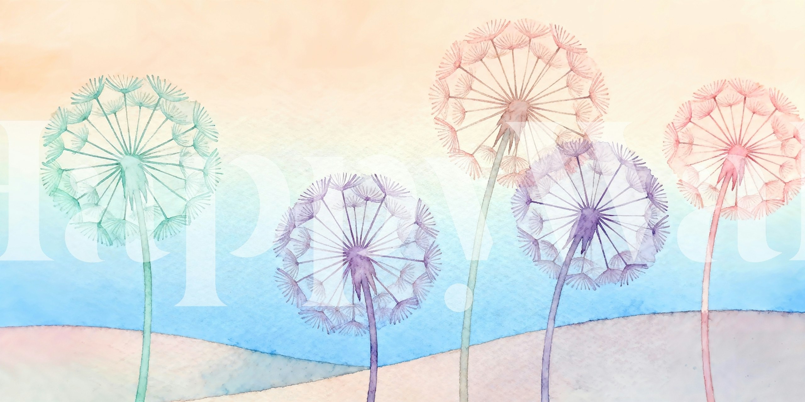 Dandelion garden watercolor wallpaper