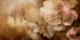 Moody Sepia Floral Dream
