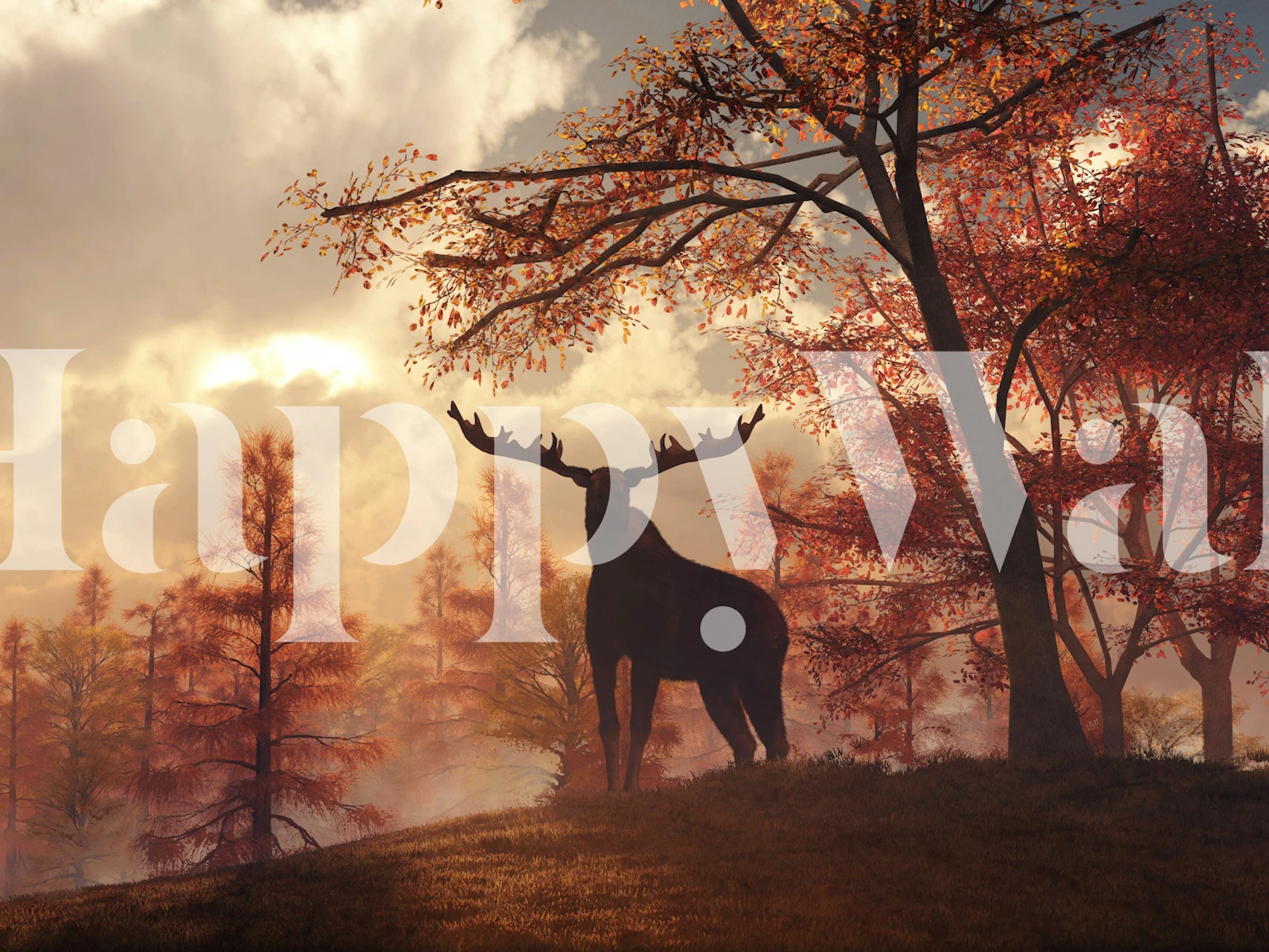 Scenic sunset wallpaper in a room