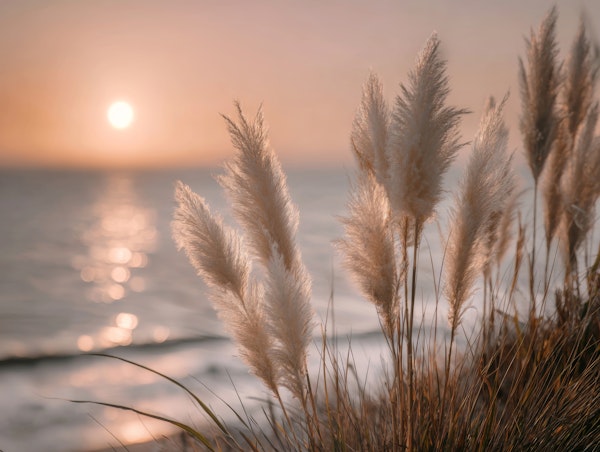 Coastal dreams in the evening wind