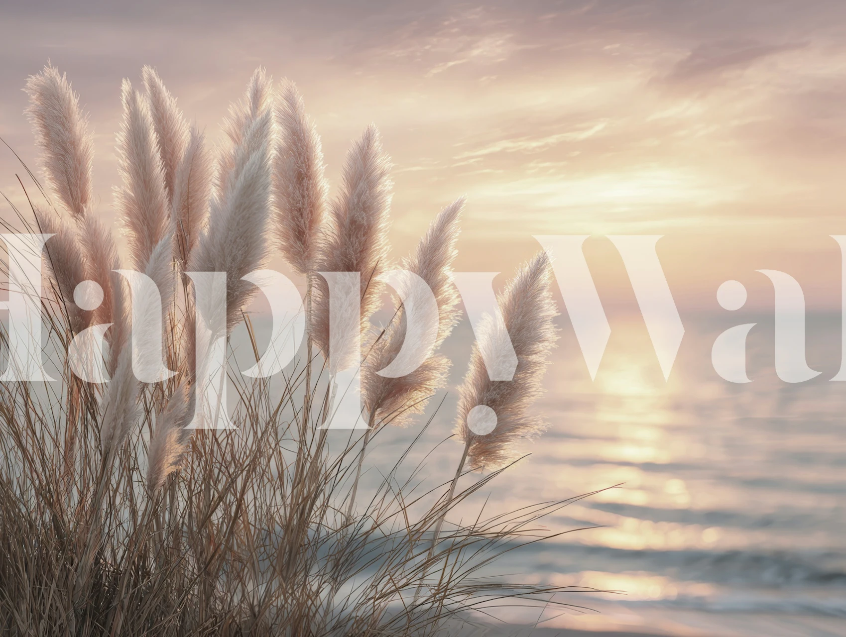 Tender evening mood wallpaper in a room