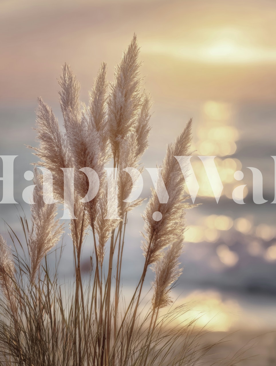 Pampas grass against a sunset background