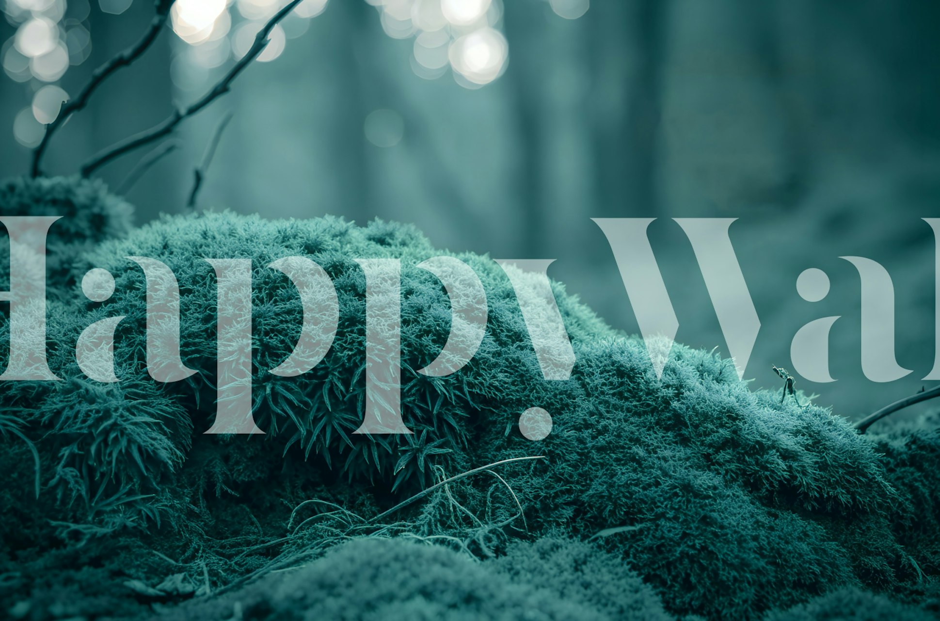 Misty Moss Forest Closeup wallpaper in a room