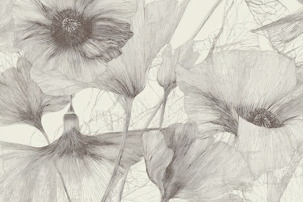 Botanical Line Art Blossoms