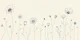 Botanical Line Drawing Flowers