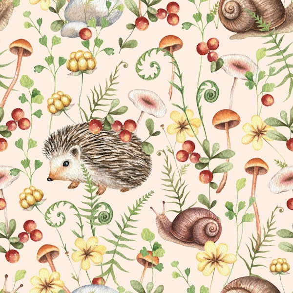 Cute Snail and Hedgehog