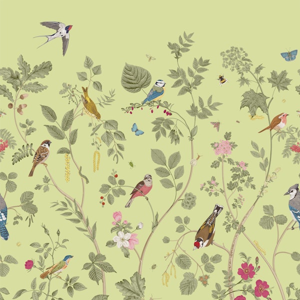 Garden Birds Cheerful Decor