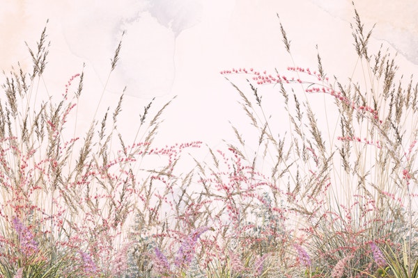 Colorful Forest Treasures