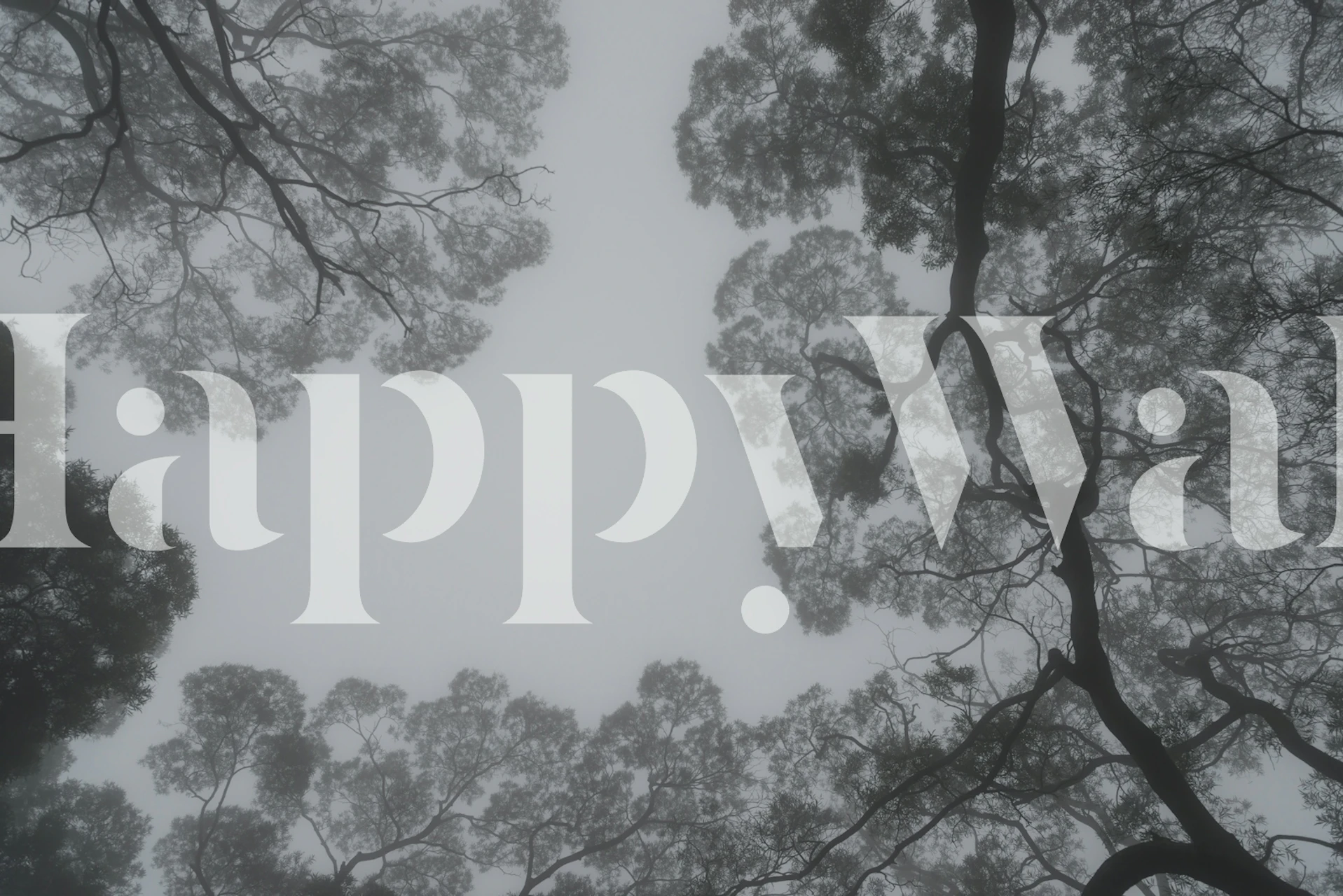 Misty forest wallpaper showcasing tree canopy