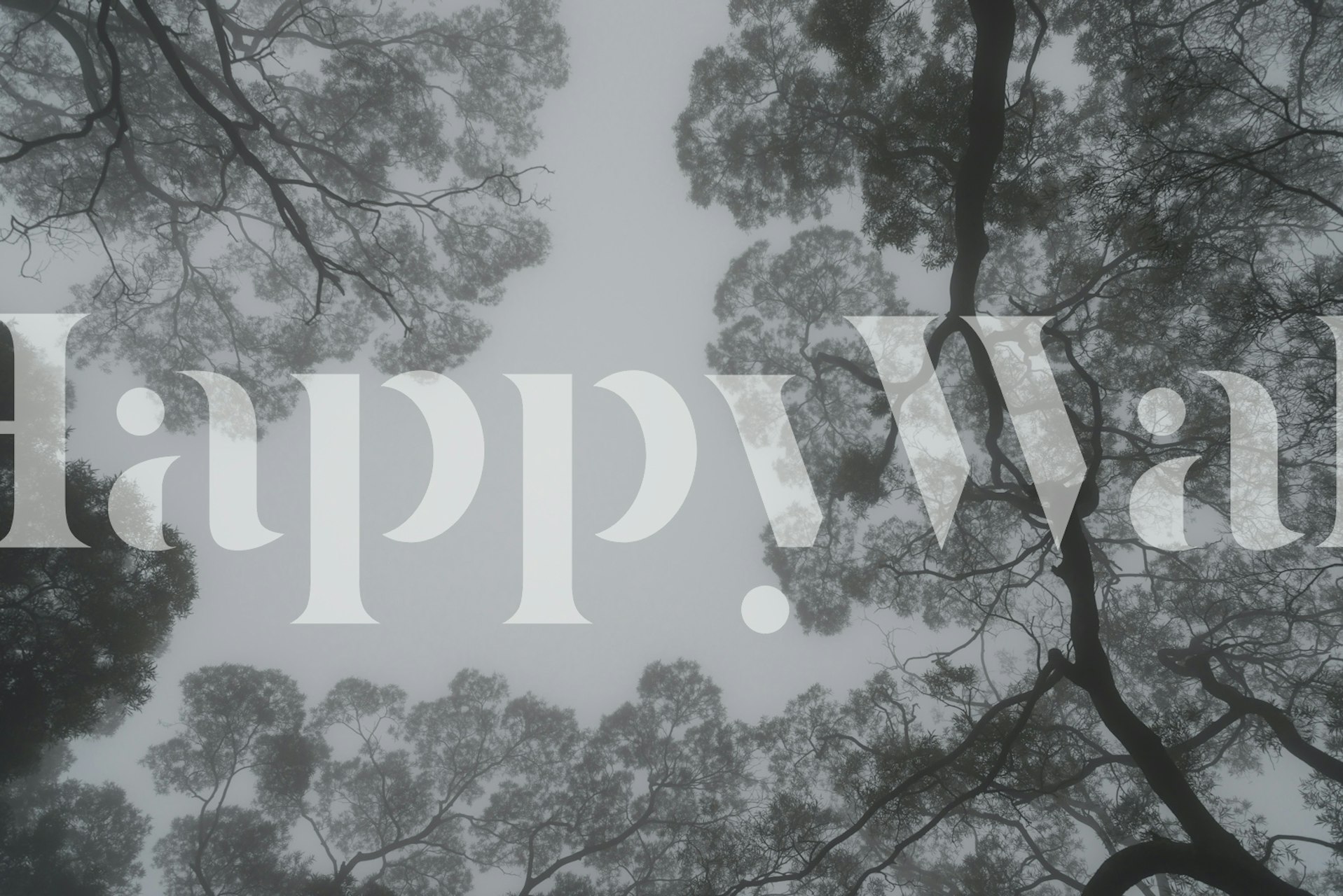 Misty forest wallpaper showcasing tree canopy