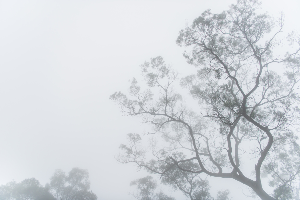 solitude