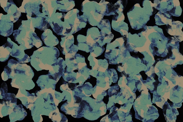 Midnight Garden Watercolor