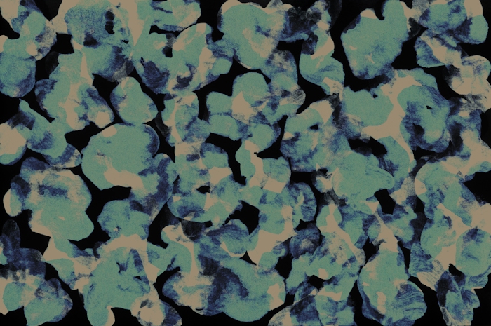 Midnight Garden Watercolor