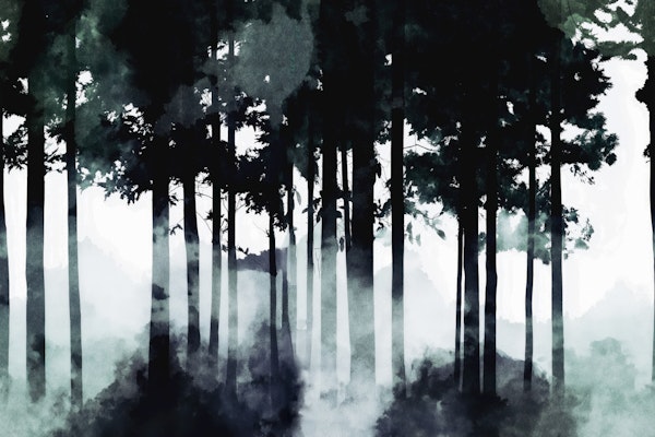 Minimal Dark Misty Pine Forest Mural with Fog