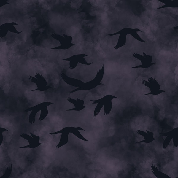 Ravens in the nightfall stormy sky