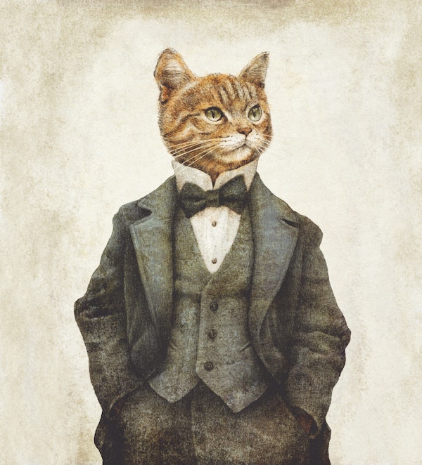 Victorian Cat Gentleman