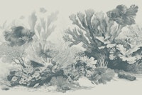 The Aquarium - Teal wallpaper