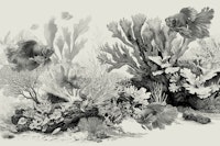 The Aquarium - Black & Ivory wallpaper