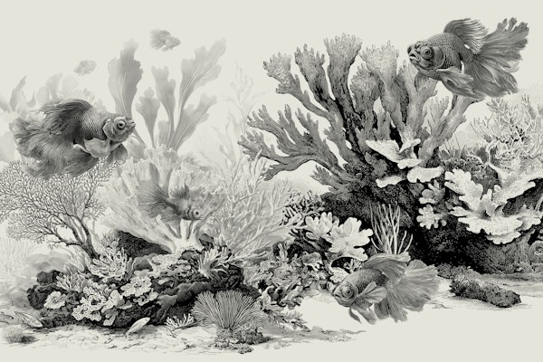 The Aquarium - Black & Ivory