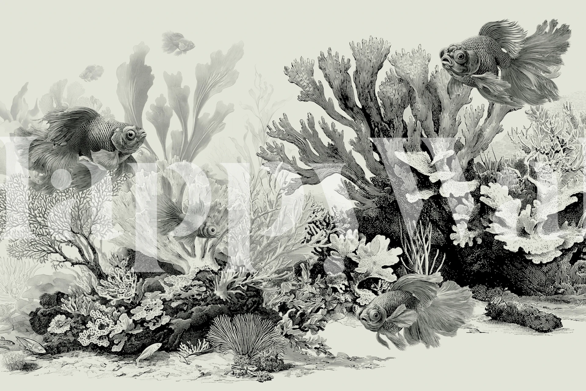 The Aquarium Black & Ivory wallpaper in a room