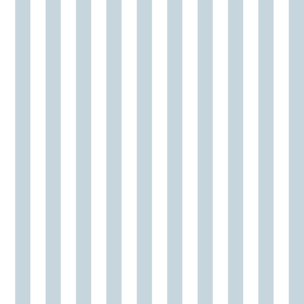 Soft Minimal Coastal Cabana Stripes