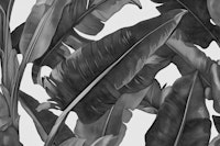 Tropical Leaves Harmony - Monochrome wallpaper