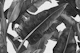 Tropical Leaves Harmony - Monochrome