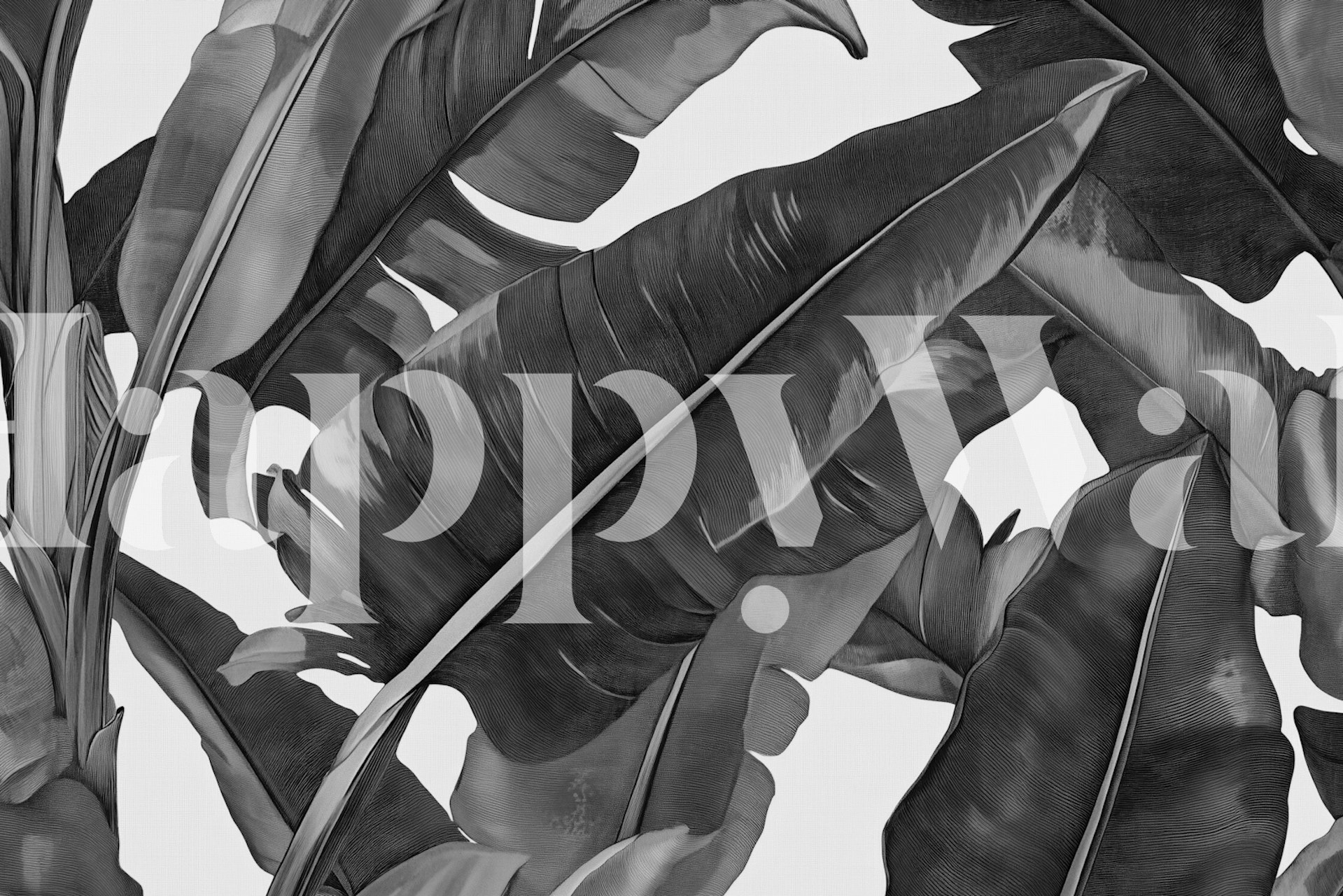 Monochrome tropical leaves wallpaper in a room