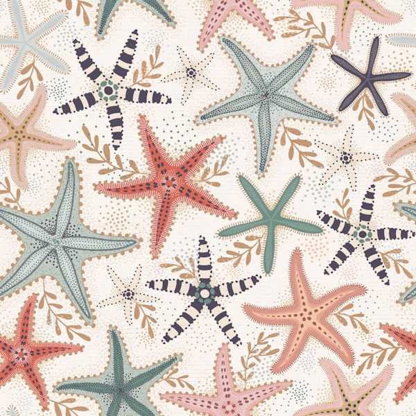 Coastal Starfish Scatter
