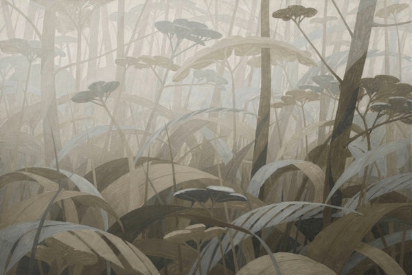 Misty Forest Understory