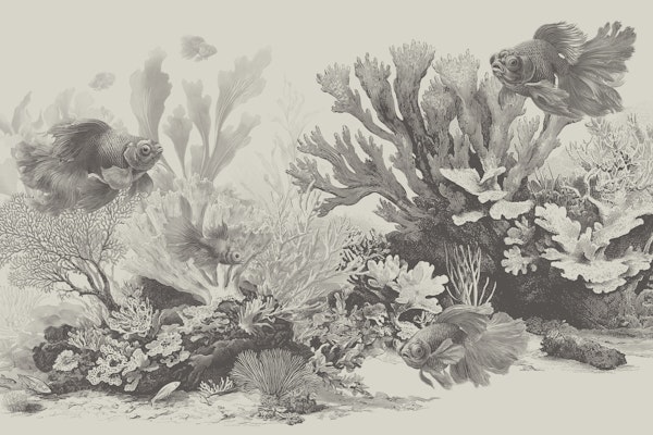 The Aquarium - Greige