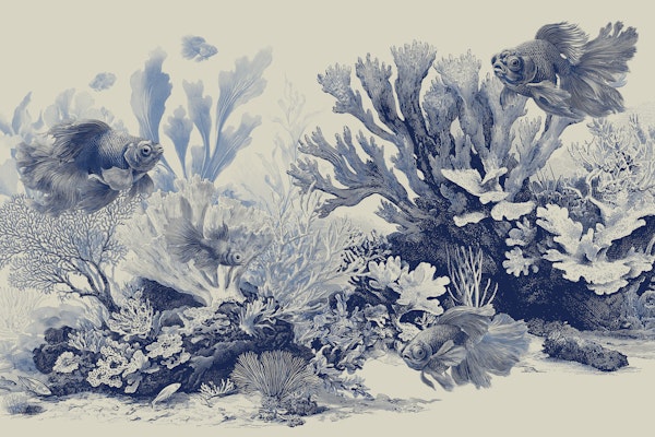 The Aquarium - Delft Blue