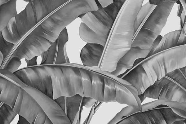 Tropical Leaf Dream - Monochrome