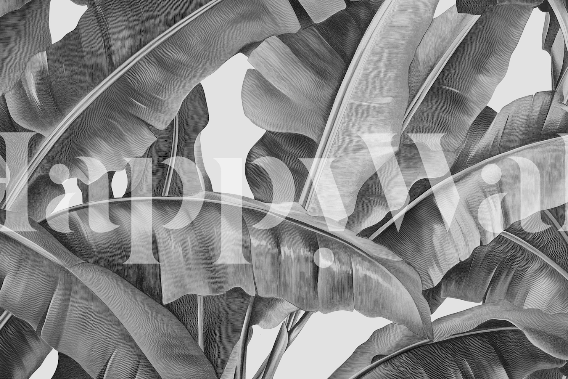 Monochrome tropical leaf wallpaper in a room