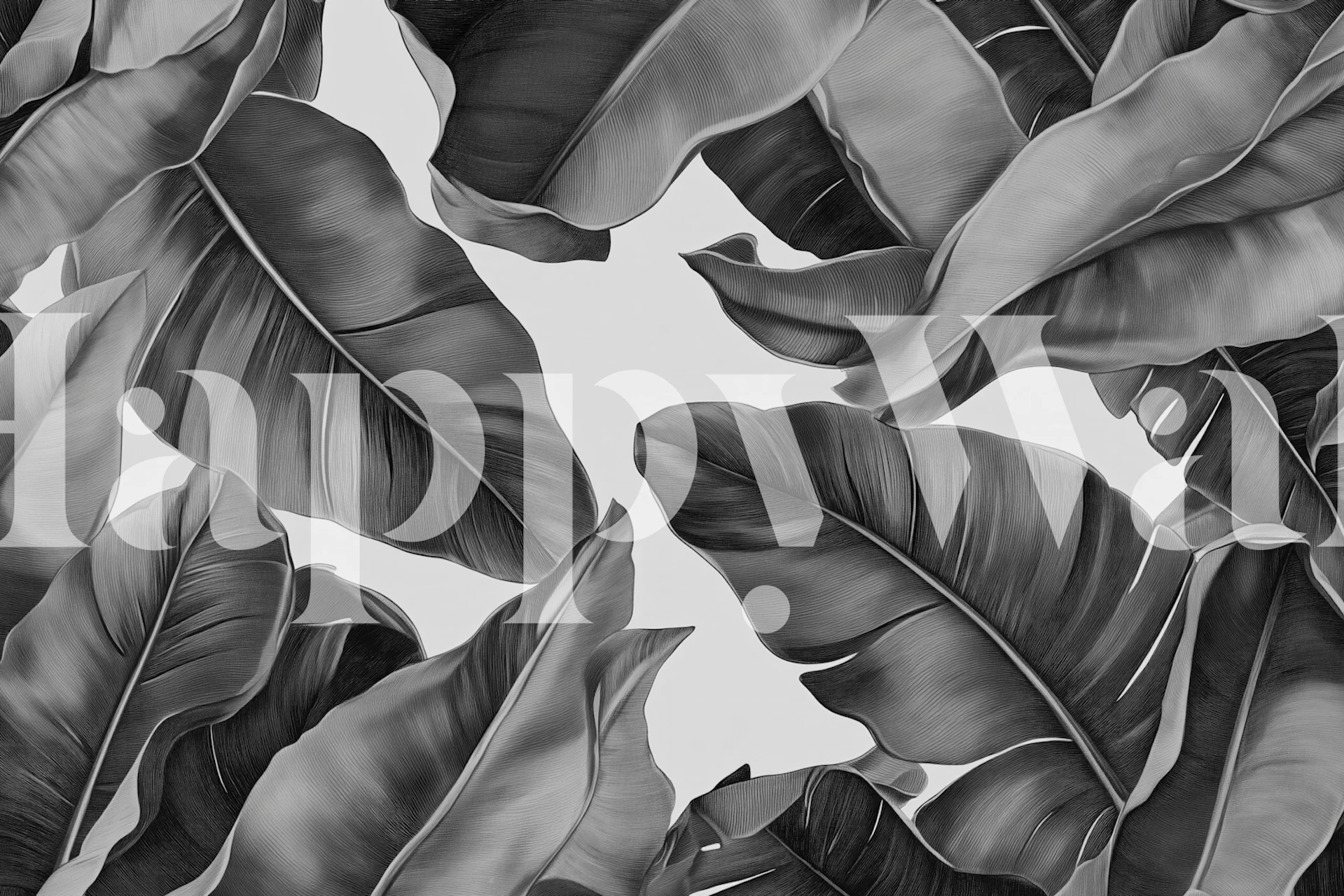 Monochrome tropical banana leaf wallpaper in a room